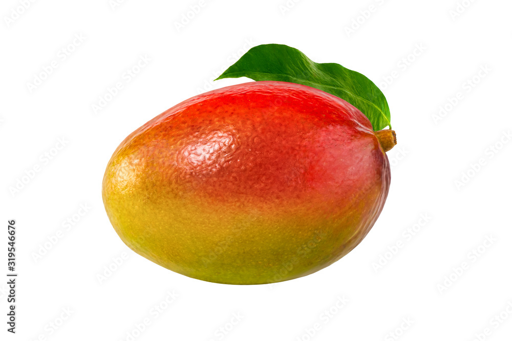 Perfect mango isolated on white. Ripe mango close-up. Perfect mango isolated on white. Ripe mango close-up.