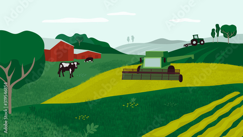 Farm land with combine harvester, cows in pasture, tractor and agricultural field. Background for agriculture, livestock or dairy company. Countryside landscape vector illustration for flyer, layout. photo