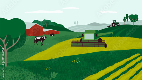 Farm land with combine harvester, cows in pasture, tractor and agricultural field. Background for agriculture, livestock or dairy company. Countryside landscape vector illustration for flyer, layout.