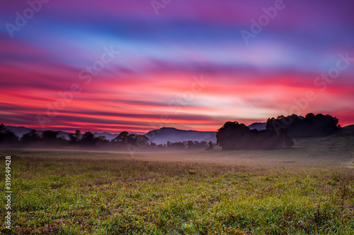 sunrise over green field