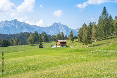 Alpine meadow in mountains