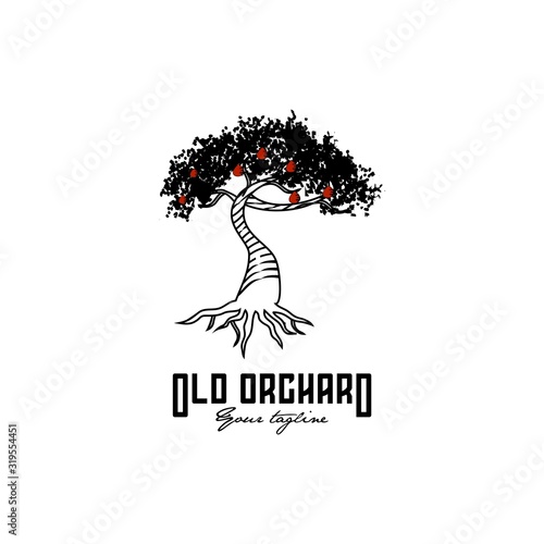 old orchard tree vector logo design
