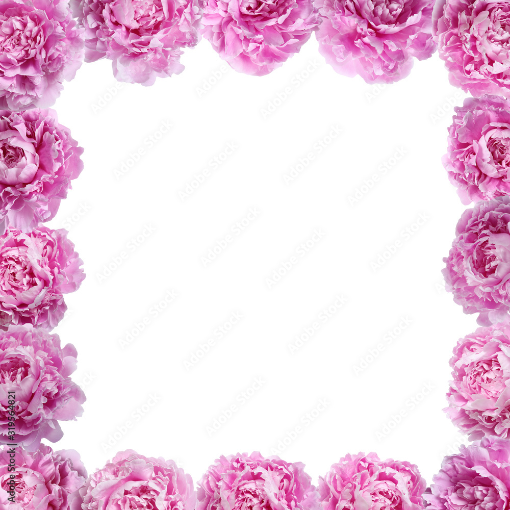 Frame of pink peonies. Blank for design.