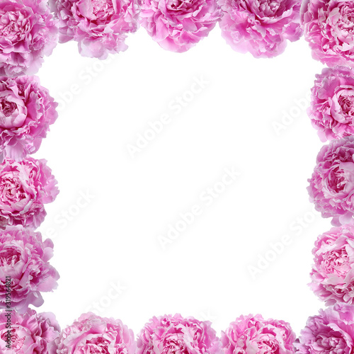 Frame of pink peonies. Blank for design.