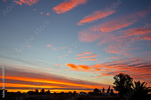 Fiery sunset with trees in foreground photo