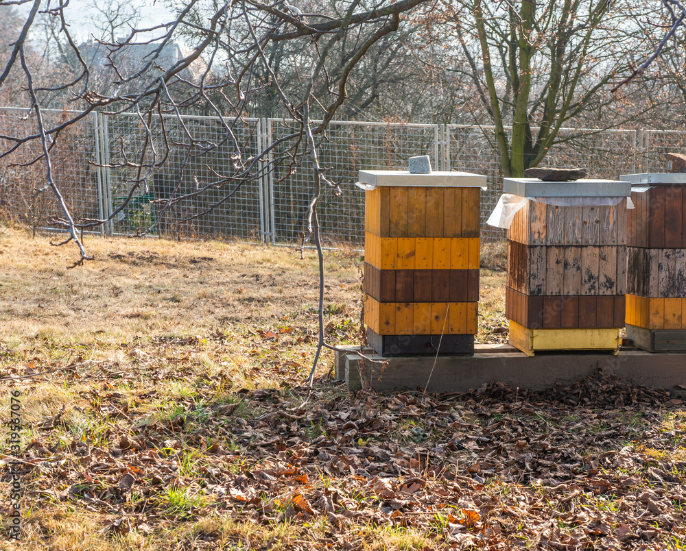 Three orange and yellow beehives in Prague botanical gardens, Troja. Vibrant colours, leaves on the ground and warm soft light for an autumn season concept