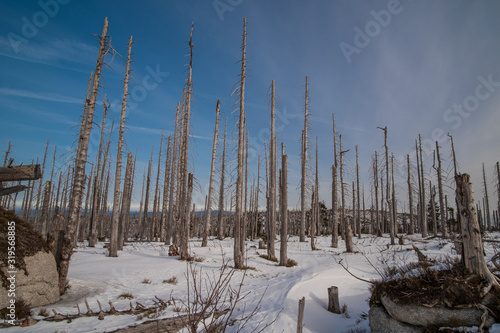 Winter trip to Plechy and Trojmezi, Šumava national Park.