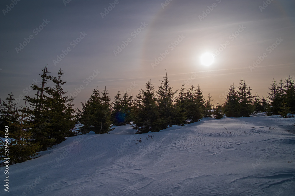 Sun shining through the trees and clouds. Winter trip to Plechy and Trojmezi, Šumava national Park.
