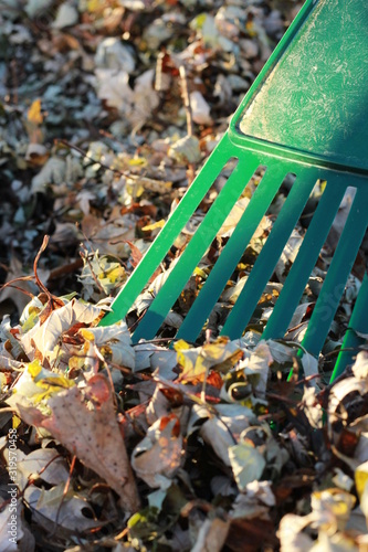 Green rake tines with fall leaves