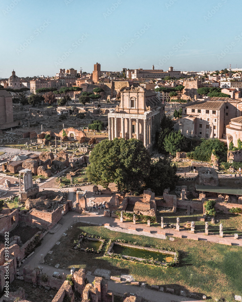 Rome - Fotografia de Viagem - Árvores e Monumento Histórico