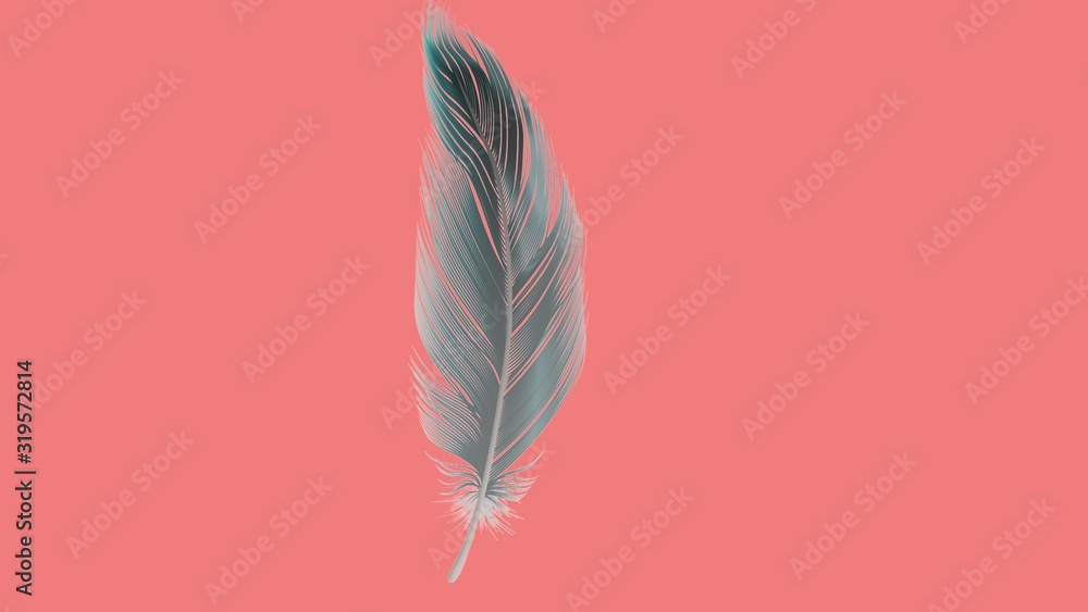 Soft silky feathers isolated with copy space for text and advertisement