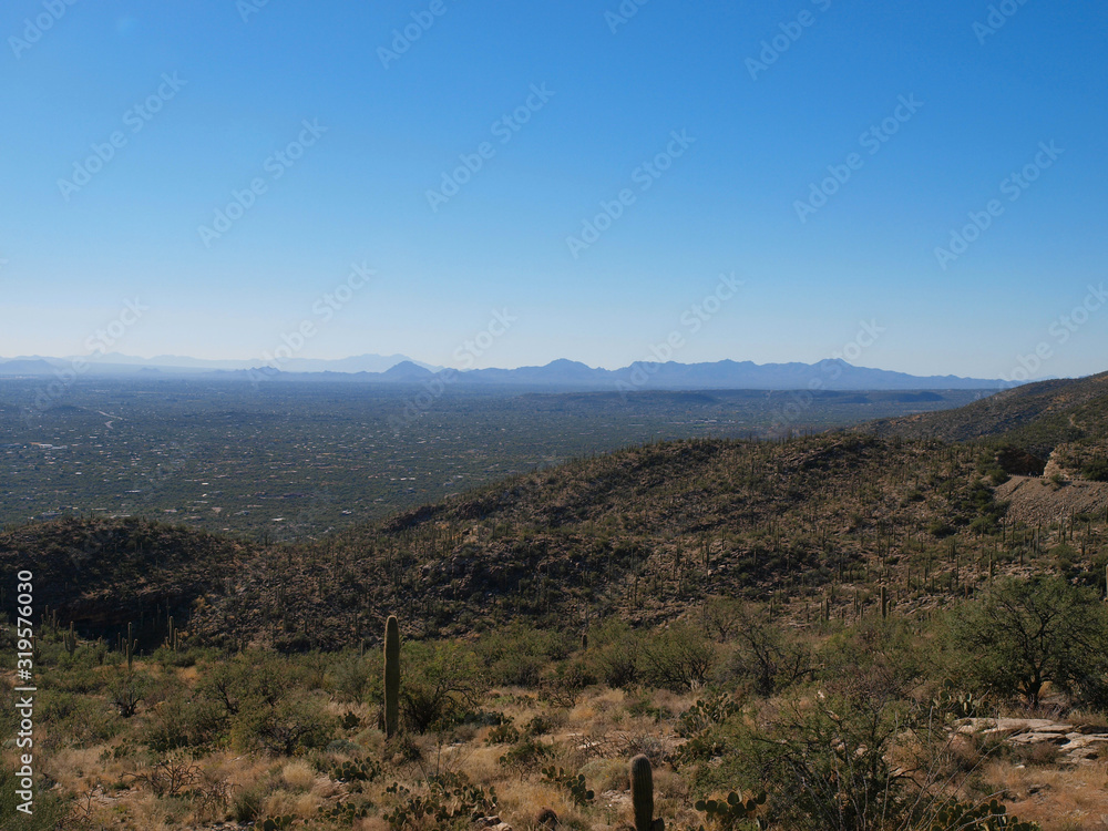 Scenic views of Saguaro National Park Scenic views of Saguaro National Park