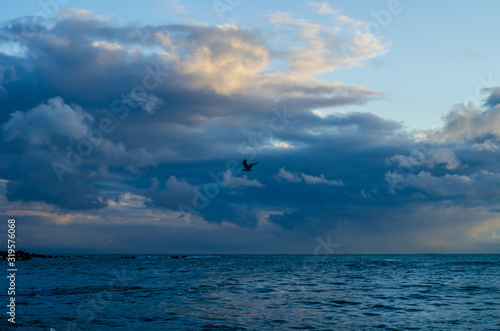 One bird flies under the clouds over the sea after a storm