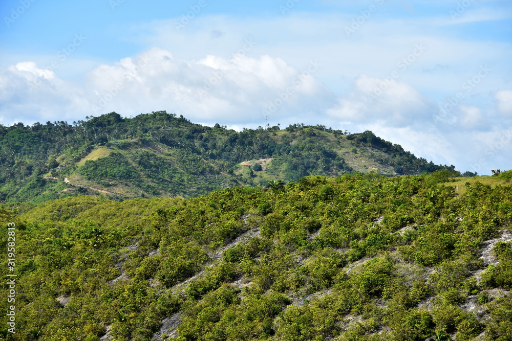 Fototapeta premium Forest Trees Mountain Sky And Clouds