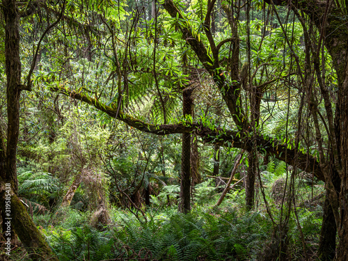 Ferny Cross © david hutchinson