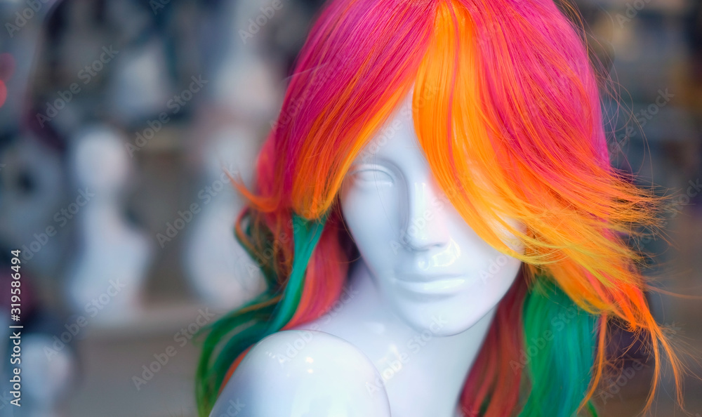 A beautiful female mannequin head with perfect pale skin and rainbow coloured long hair. A beautiful female mannequin head with perfect pale skin and rainbow coloured long hair.