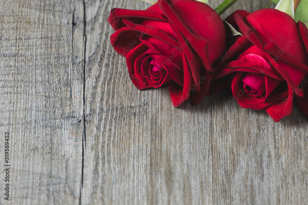 Red rose Placed on a gray wooden floor, Valentine's Day theme Red rose Placed on a gray wooden floor, Valentine's Day theme