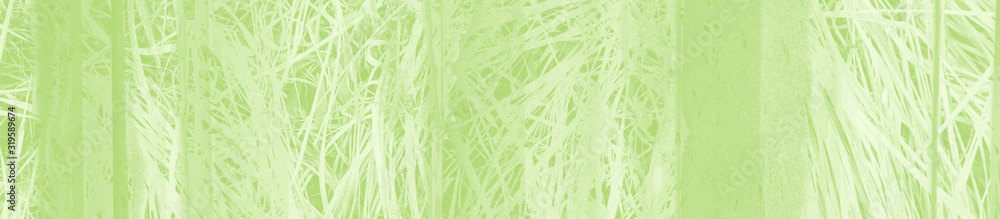 Fototapeta premium abstract light green background with copy space for design