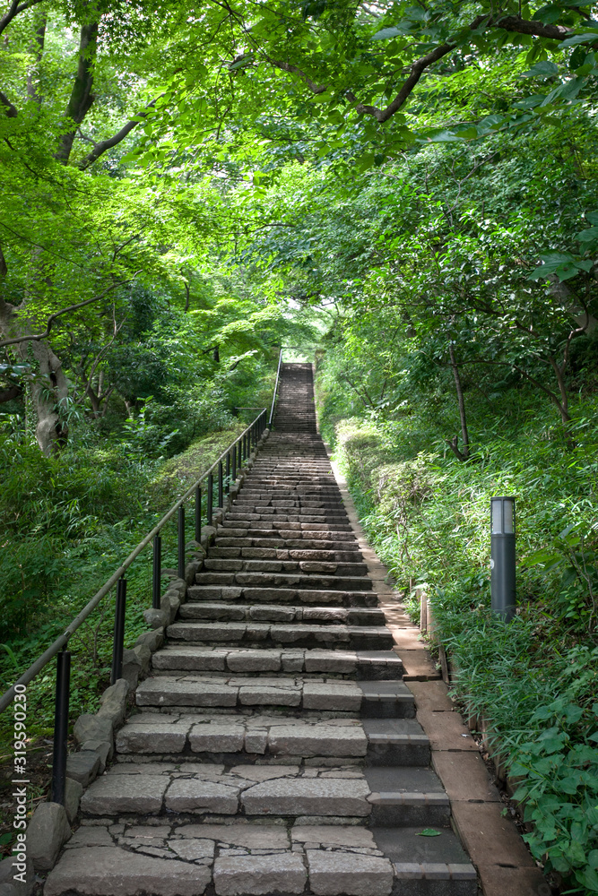 Obraz premium 田園調布せせらぎ公園（東京都大田区）