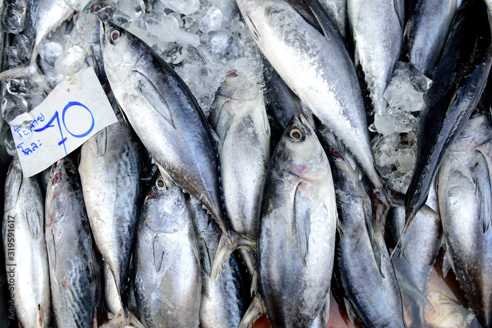 Fresh raw fish for sale in a street market in Bangkok, Thailand Fresh raw fish for sale in a street market in Bangkok, Thailand