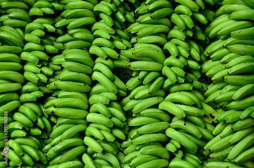 Texture of green bananas, Quindio Colombia