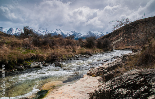 Stream in the Southern Alps, South Island, New Zealand