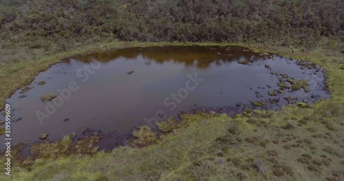 Small Lagoon in Belmira's Paramo in Antioquia - Colombia. Full of Trees and Plants with Lots of Vegetation Around photo