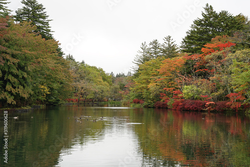 Beautiful autumn landscape with reflection on the water at Kumoba pond Karuizawa