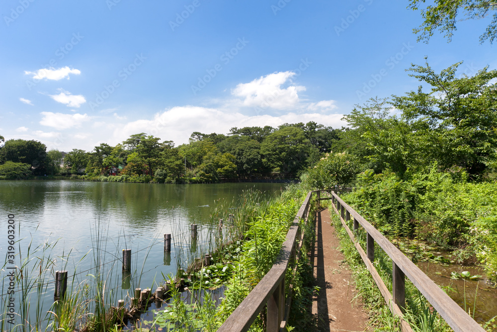 洗足池公園（東京都大田区）