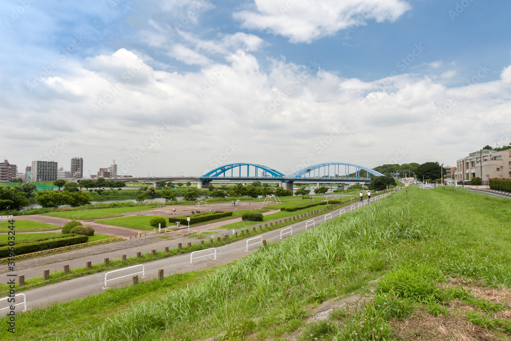 Obraz premium 多摩川丸子橋緑地（東京都大田区）