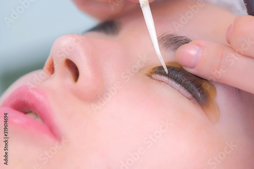 Cosmetologist bending lashes with needle into curlers, lift eyelashes laminaton procedure in beauty salon for woman, closeup view. Beautician making lash lifting in cosmetology clinic, hands closeup. © familylifestyle