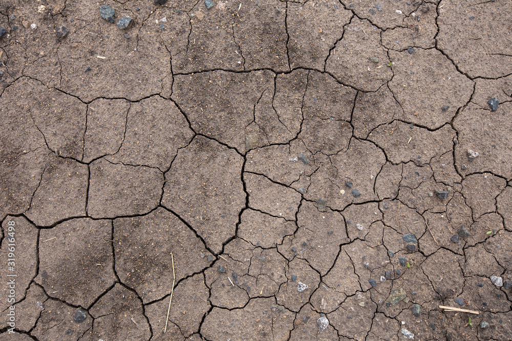 Fototapeta premium Global warming drought. Creative cracks in the ground