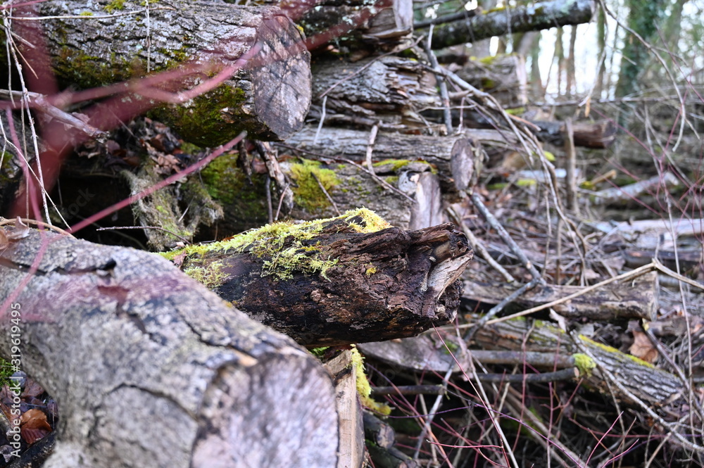 Holzstapel Holzstapel