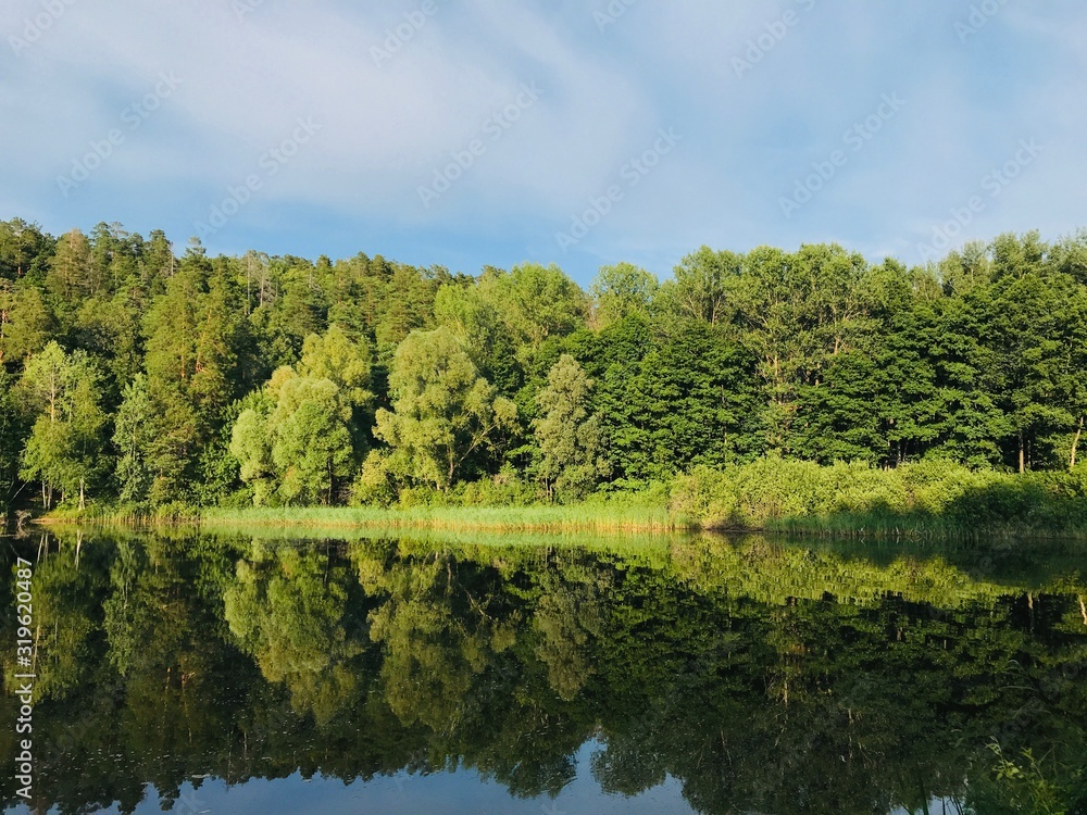 SCENIC VIEW OF LAKE BY TREES AGAINST SKY - obrazy, fototapety, plakaty 