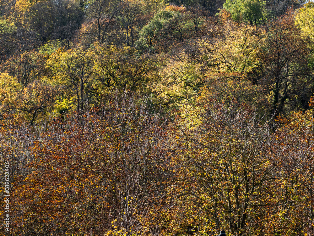 Paysage d'automne à Orgeval dans les Yvelines en France