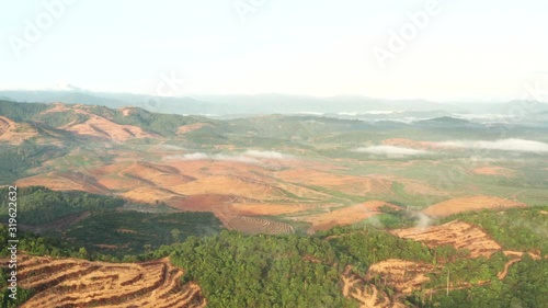 Aerial view of deforestation Palm oil tree in Malaysia