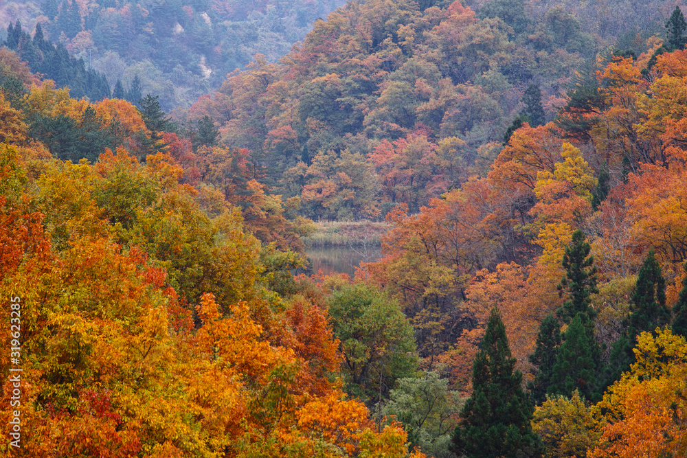 日本の秋の風景（日本の山形県です）