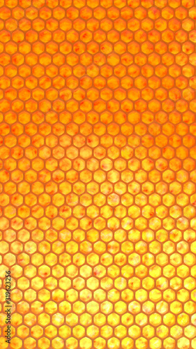 Render of a honeycomb in backlit honeycombs
