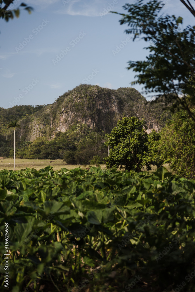 Rural views of the mountains in Cuba. 