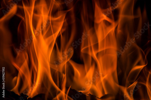 Flames close up. Fire on a black background.