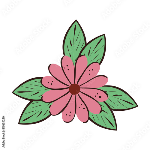 cute flower natural with leafs isolated icon