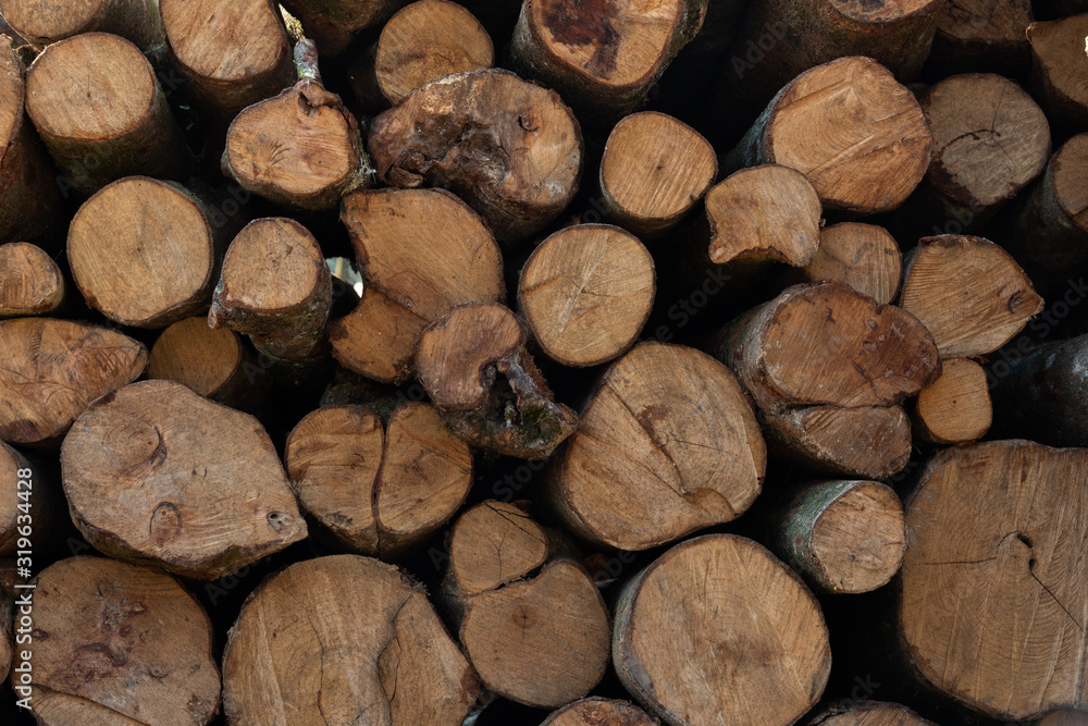 Pine cut logs stacked background Pine cut logs stacked background