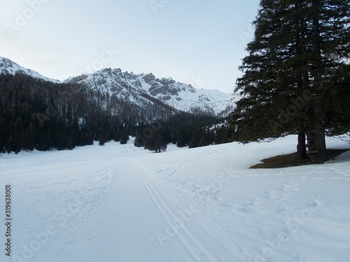 winter alpine landscape for skitouring in stubaier alps in austria photo