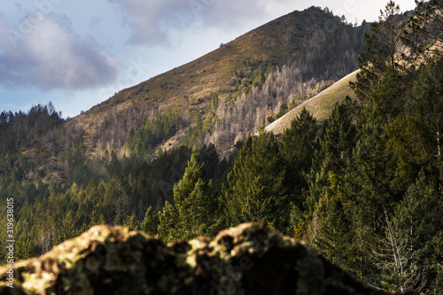 View of a mountain ridge with cloudy sky from a hiking trail in Sugarloaf Ridge State Park  Sonoma County  California