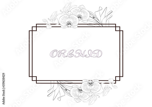 orchid flowers frame
