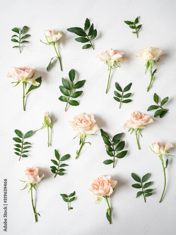 Fototapeta premium Nature creative composition of green leaves and roses on a white background. Top view
