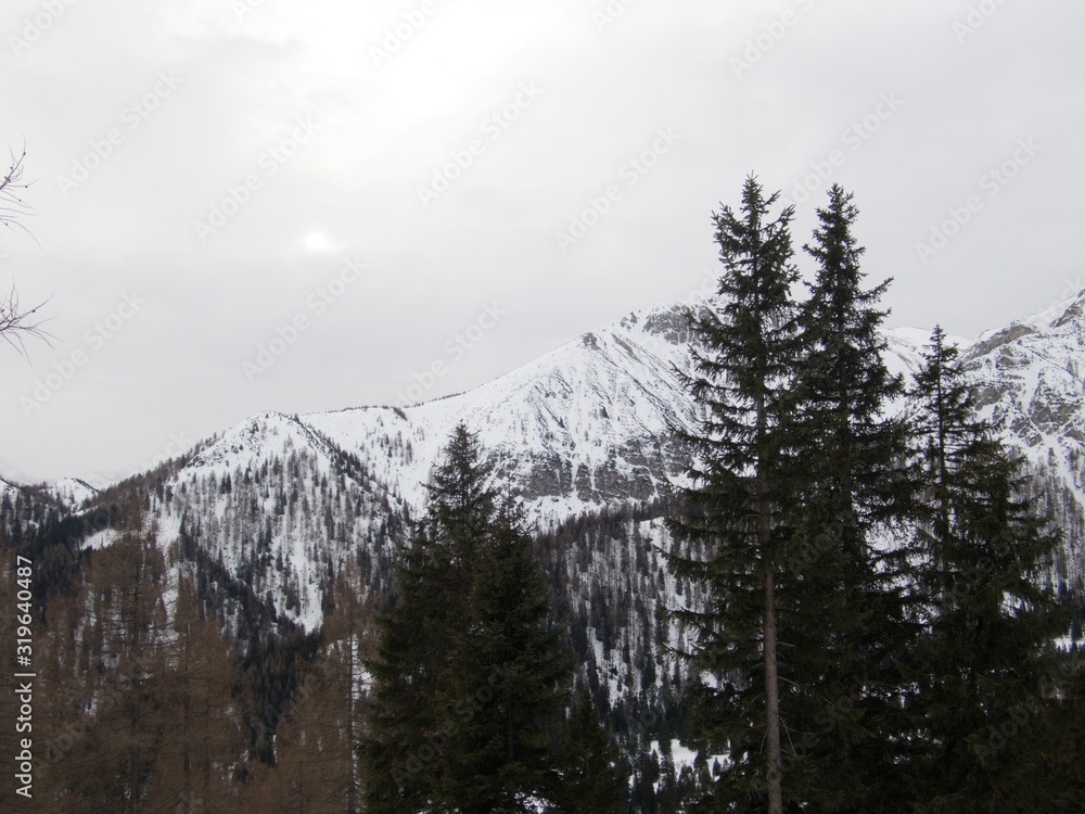 winter alpine landscape for skitouring in stubaier alps in austria