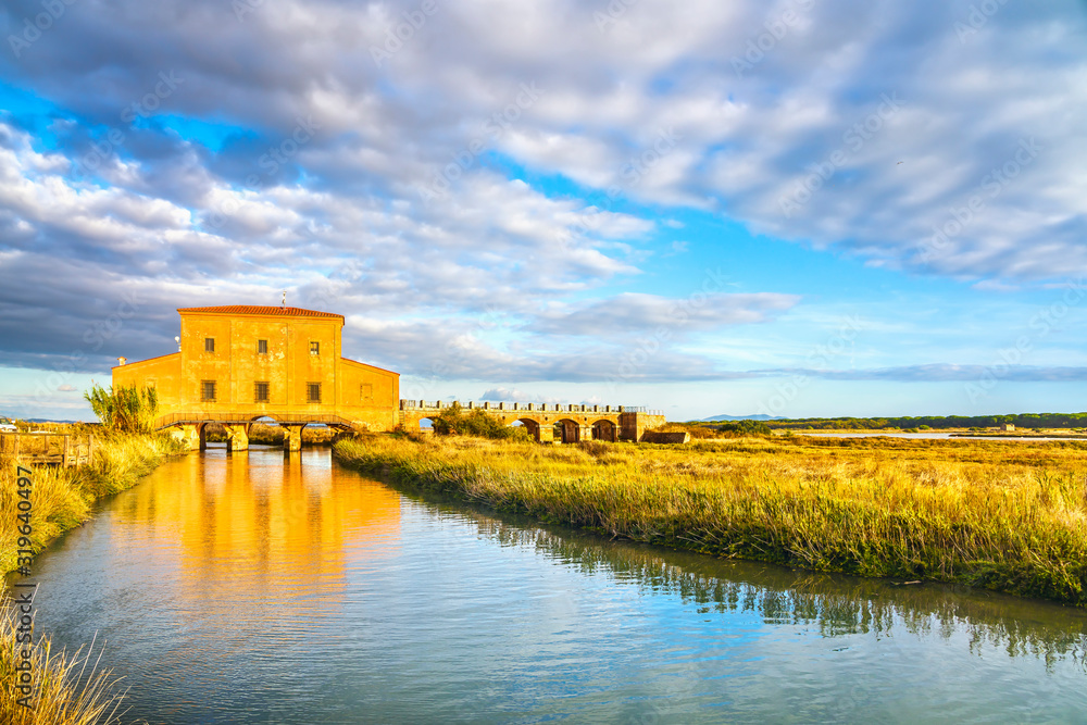 Castiglione della Pescaia Maremma, Diaccia Botrona park. Tuscany, Italy Castiglione della Pescaia Maremma, Diaccia Botrona park. Tuscany, Italy