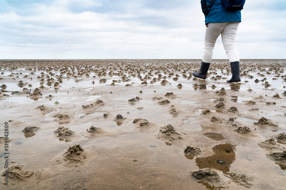 Ταπετσαρία WALKING ON THE WADDEN SEA ON SYLT.