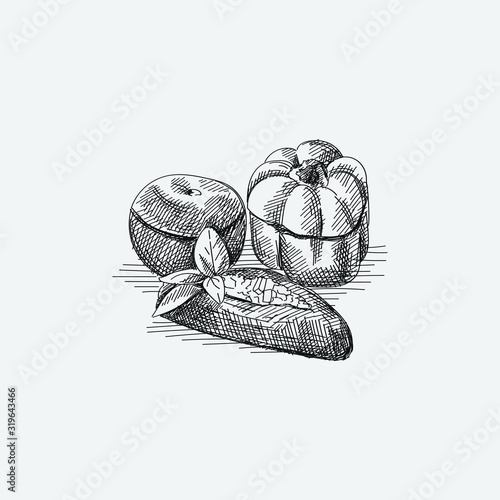 Hand drawn sketch of traditional Azerbaijani dish three sisters dolma. Fried green bell pepper, tomato and eggplant stuffed with minced ground meat